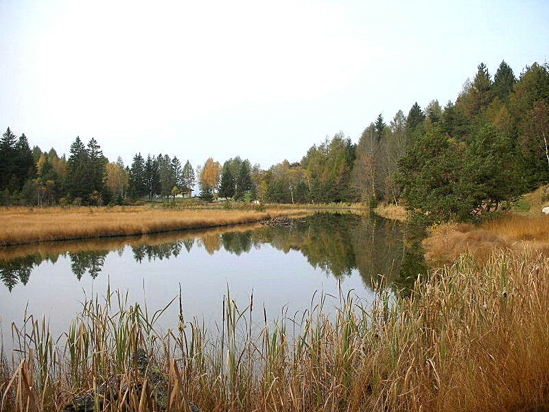 Riserva Naturale Pian Gembro